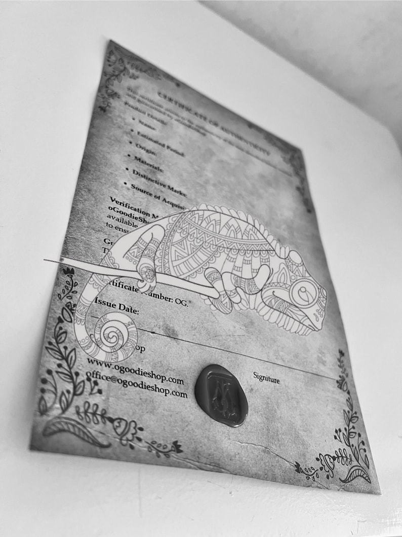 a picture of a chamelon on a piece of paper