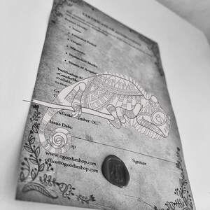 a picture of a chamelon on a piece of paper