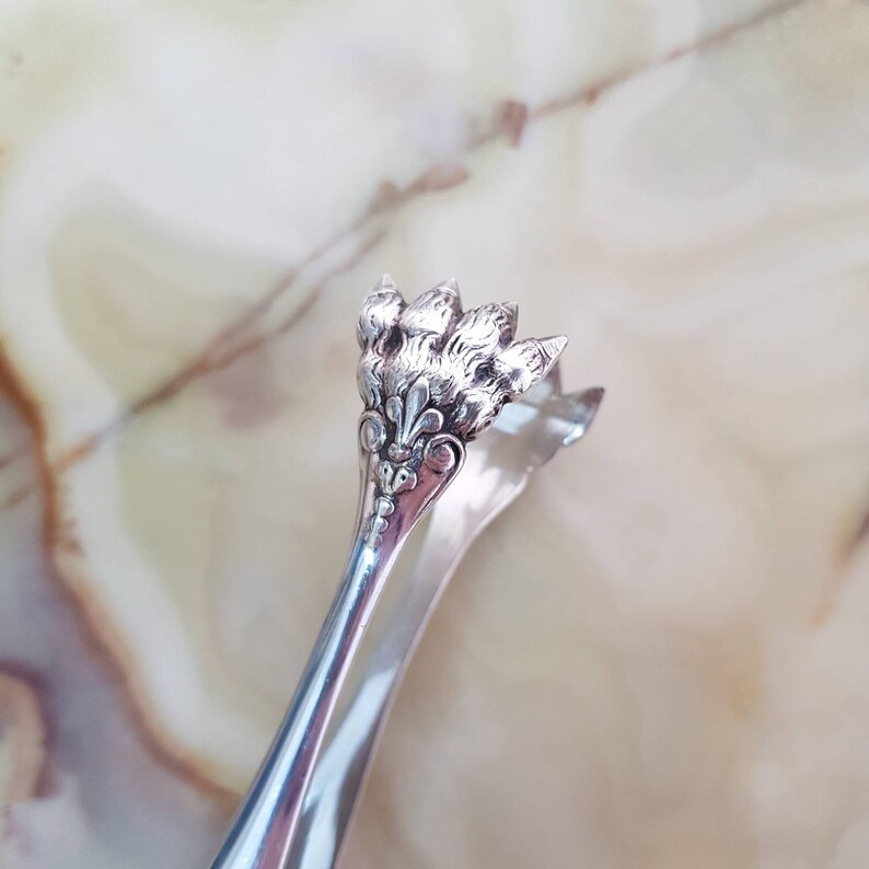 Vintage Silver Plated Sugar Claw Tongs Sugar Cube Tongs Etsy
