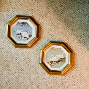 May include: Two octagonal wall frames with gold-toned borders, each containing a print of white swans swimming in a pond with small cygnets. The prints feature a white matting border within the frame, showcasing detailed illustrations of waterfowl.