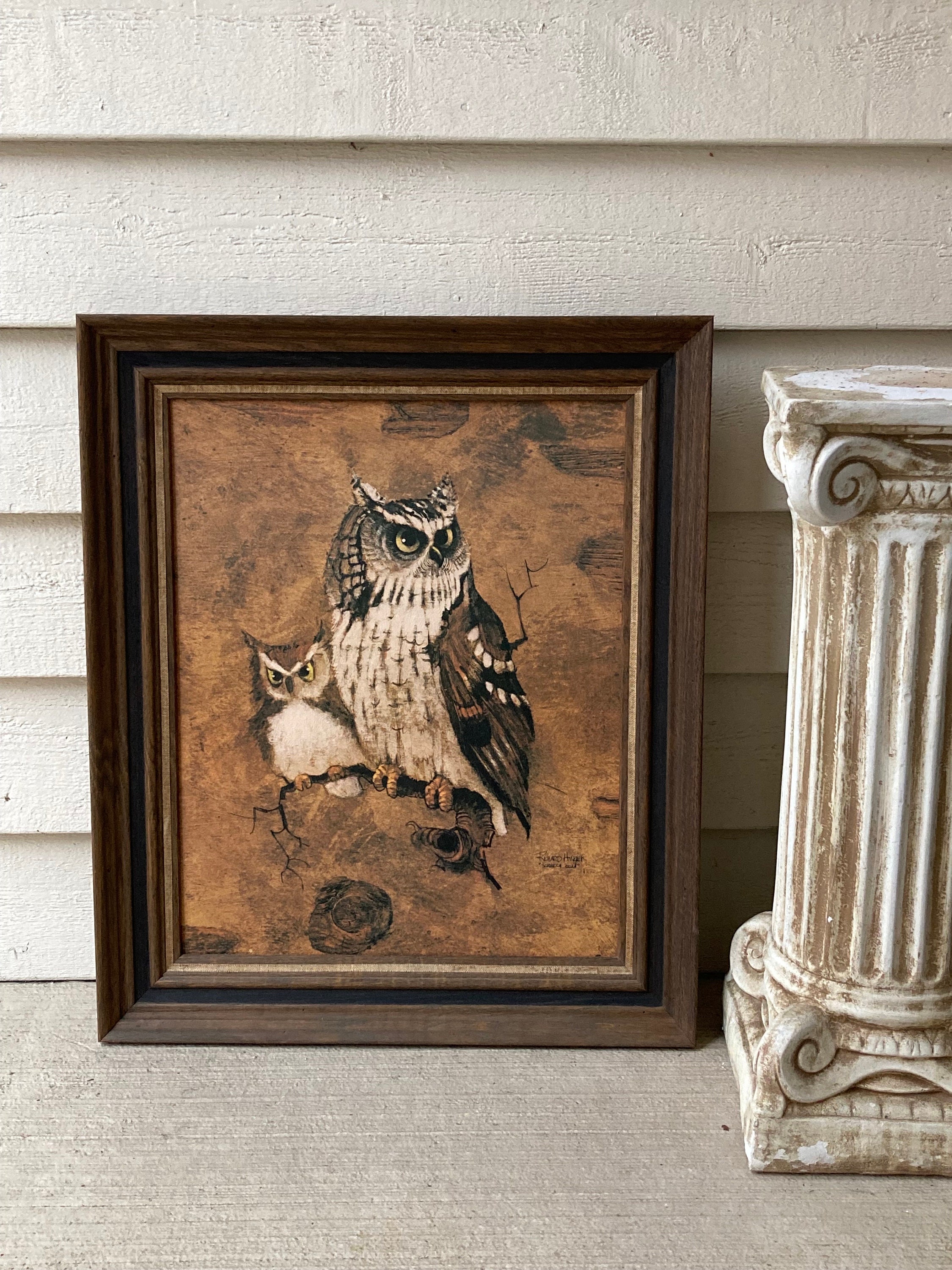 Vintage Mid Century Large Framed Print screech Owl by Richard Hinger Masterpiece Collection of