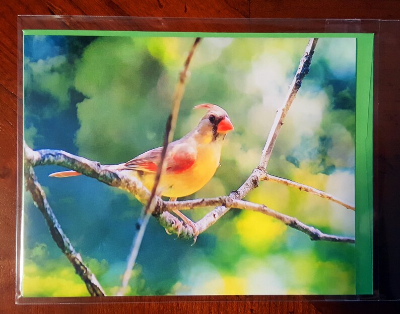 Notecards Sunshiny Summer