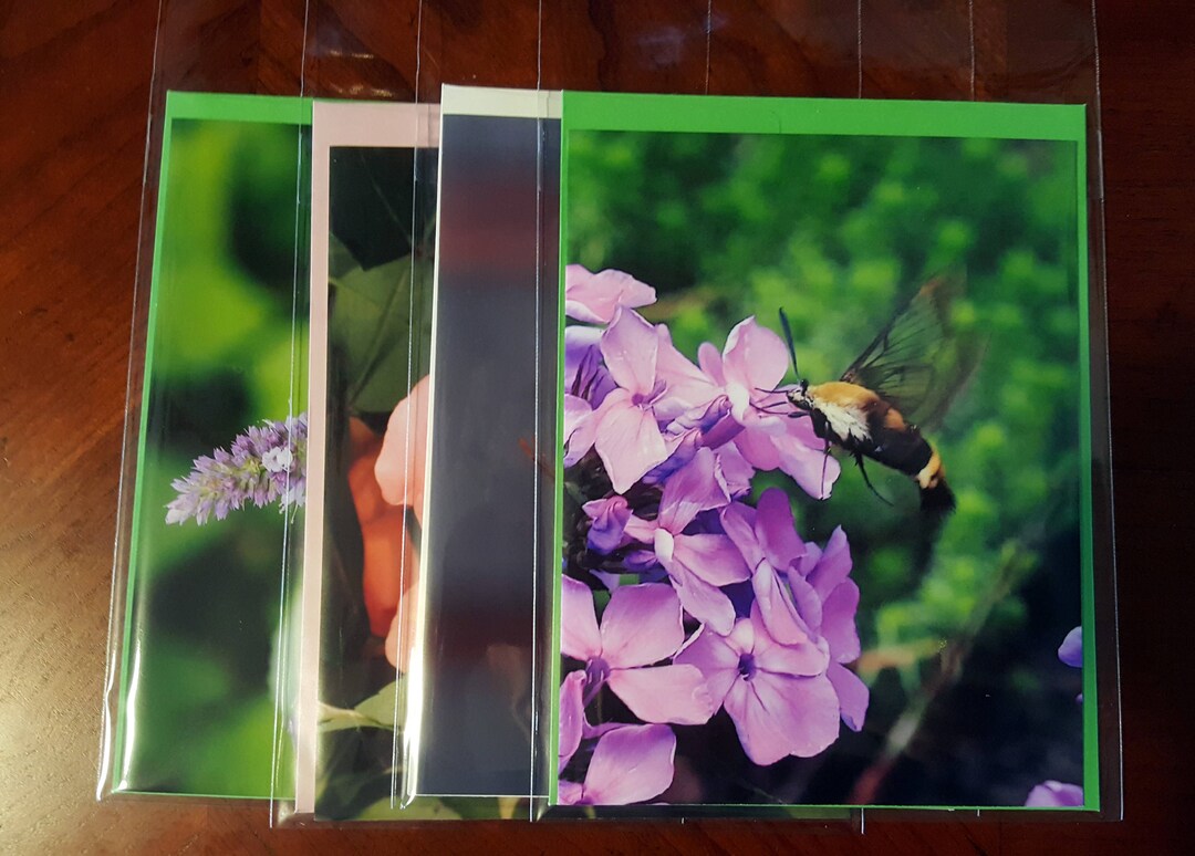 Notecards - Spring Has Sprung - Etsy