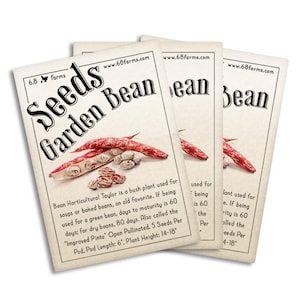 Garden Bean Seeds