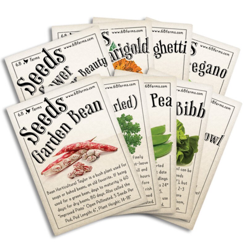 Easy to Grow Seeds Bundle Etsy