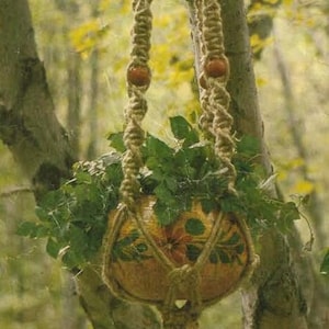 Michelle Macrame Hanger Vintage Pattern (1976) pdf