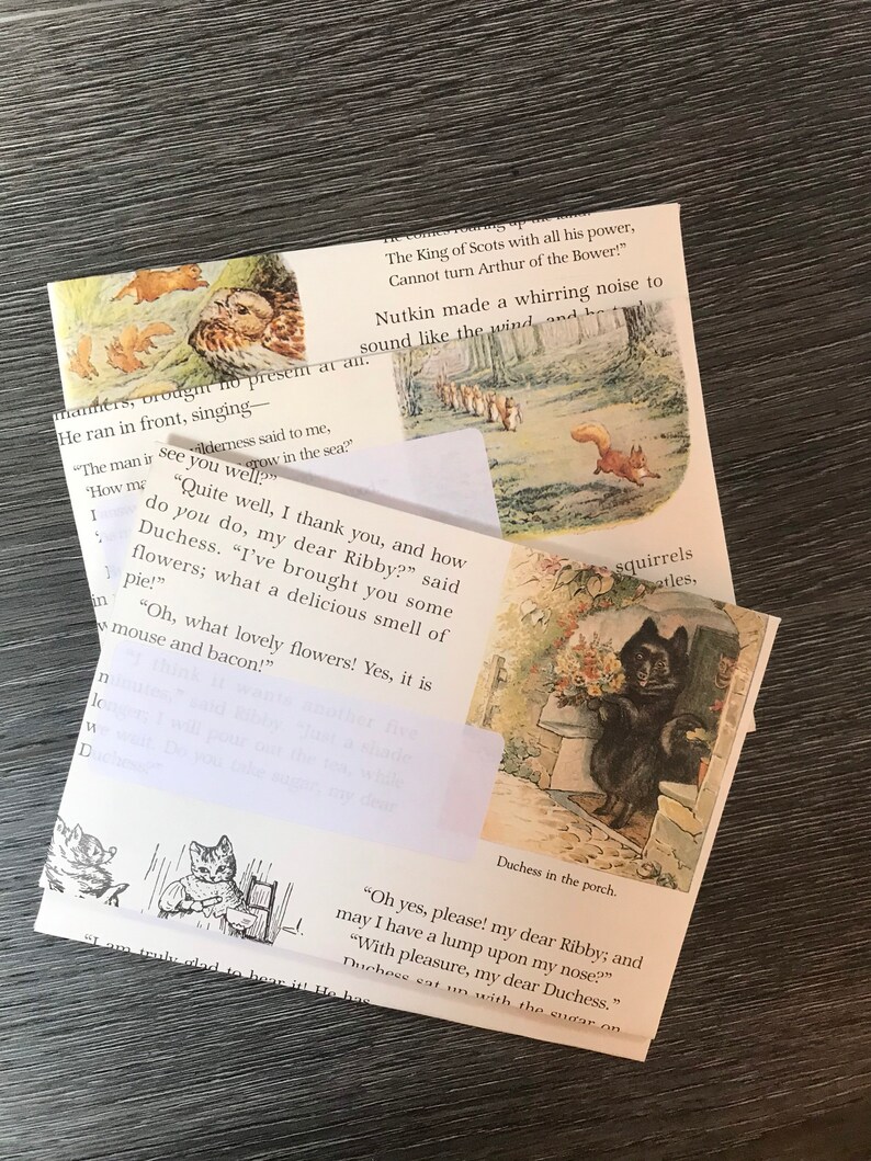 Summary of the tale of benjamin bunny picture