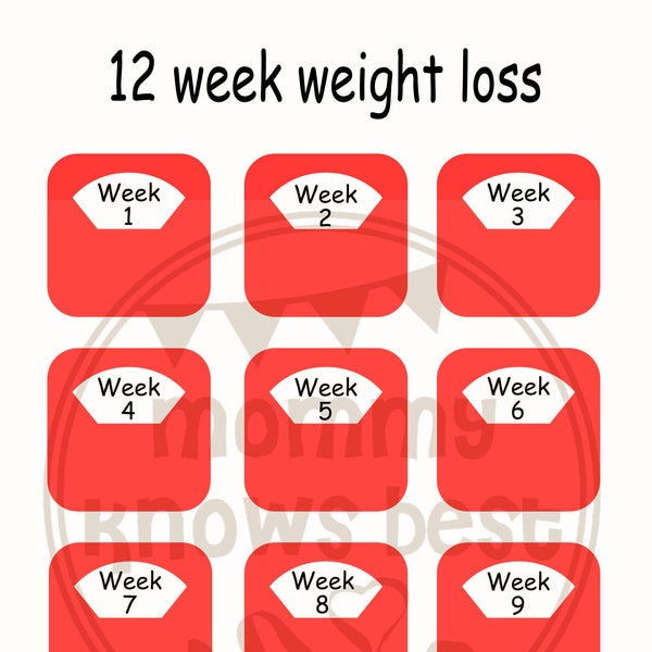 12 week weight loss Scales tracker chart Slimming log planner Weekly plan Weight watcher logger PNG PDF 12 week challenge digital download