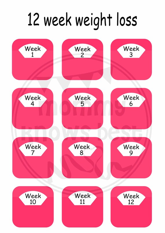 12 Week Weight Loss Scales Tracker Chart Slimming Log Planner Etsy