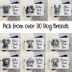 Puede incluir: Nueve ilustraciones de diferentes razas de perros en cajas blancas con texto negro. Cada caja tiene el nombre de una raza de perro, "Treat" y "Box" escrito en ella. El texto "Pick from over 30 Dog Breeds" está escrito en negro sobre un fondo blanco.