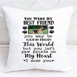 May include: White throw pillow with black text that reads "You were my best friend, you may be gone from this world but you left paw prints on my heart. I miss you."  A black and brown dog is pictured in a frame.