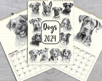 May include: A 2024 wall calendar featuring pencil-style drawings of various dog breeds. The calendar includes the word "Dogs" and the year "2024" in a central design. The calendar pages are cream-colored with a spiral binding.
