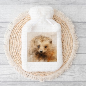 Hedgehog Hot Water Bottle Gift Christmas Present Birthday Unusual Gift Hard to buy for Super Soft 2 Litre Hot Water Removable Cover