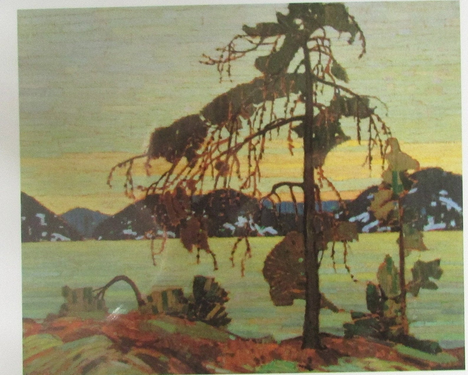 Art card THE JACK PINE by Tom Thomson Etsy