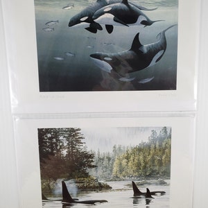 2 Kunstkarten "Blackfish Sound" von Bruce Muir & "Northwest Passage - Orcas" von Don Li-Leger 16"x9" mit Innenumschlag Bank
