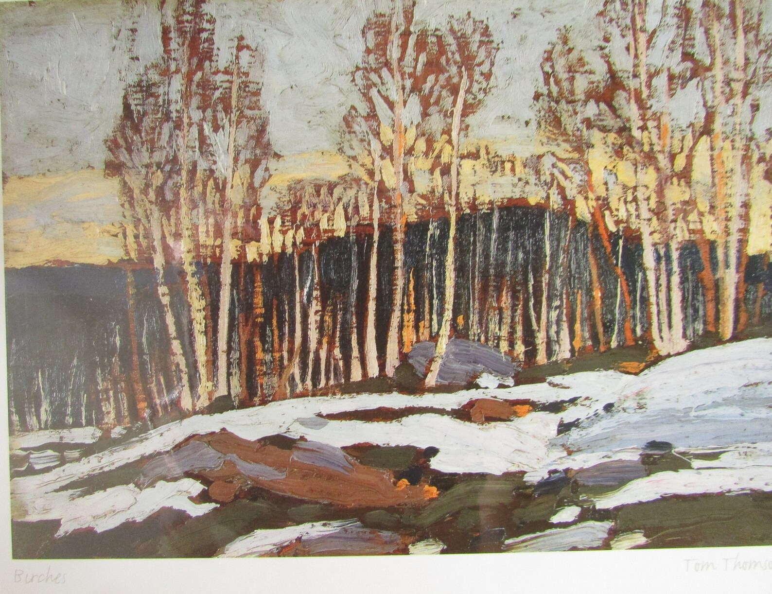 Art card BIRCHES by Tom Thomson 6x9 Etsy