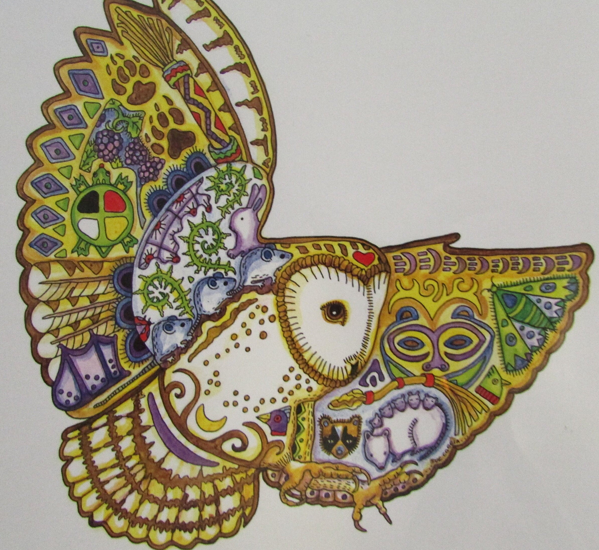 New Cherokee Indigenous art Barn Owl Bald Etsy
