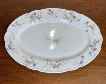 Antique Haviland Limoges France for Kniffin & Tooker New York Oval Platter