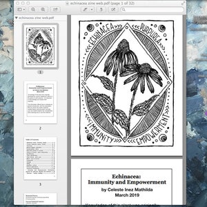 Digital Download Zine: Echinacea, Immunity, Empowerment