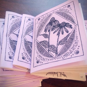 Echinacea: Immunity and Empowerment. A zine about this great plant ally and what it has to offer.