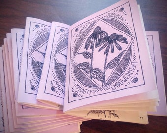 Echinacea: Immunity and Empowerment. A zine about this great plant ally and what it has to offer.