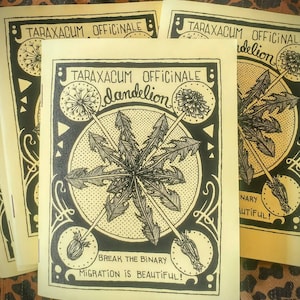 Dandelion: Migration is Beautiful (zine)