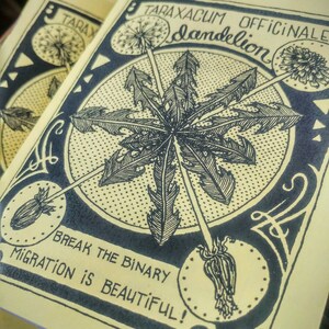 Dandelion: Migration is Beautiful zine 画像 7