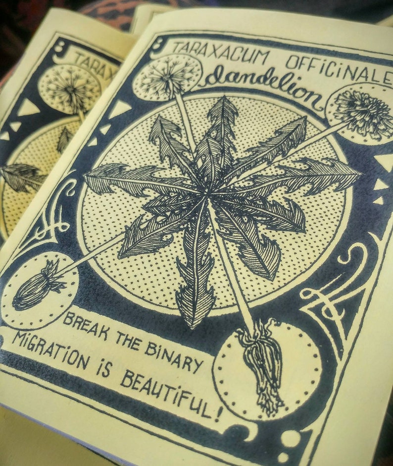 Dandelion: Migration is Beautiful zine image 7