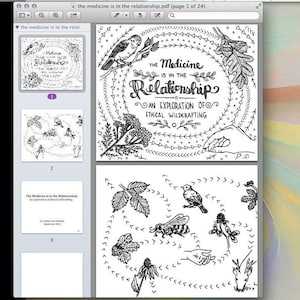 Digital Download Zine: The Medicine is in the Relationship
