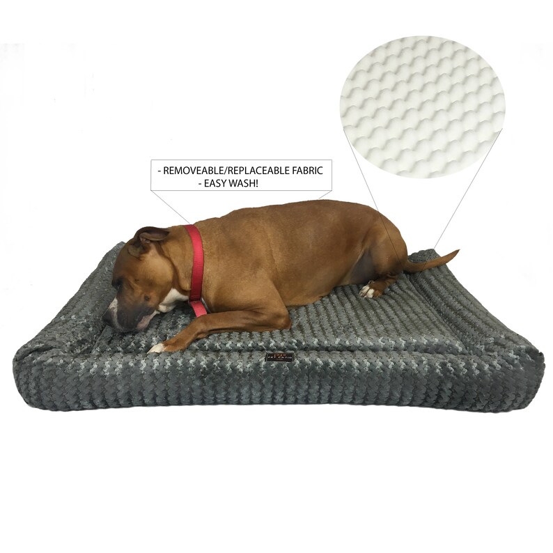 May include: A gray and white dog bed with a brown dog lying on it. The bed has a removable and replaceable fabric cover. The text "REMOVABLE/REPLACEABLE FABRIC - EASY WASH!" is printed on a white rectangle above the bed.