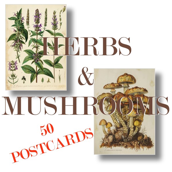 50 HERBS & MUSHROOMS POSTCARDS double-sided - 50 double-sided printable postcards