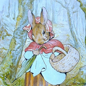 May include: A brown rabbit wearing a red hooded cloak and a blue dress with yellow stripes, holding a green umbrella and a wicker basket, walking through a forest.