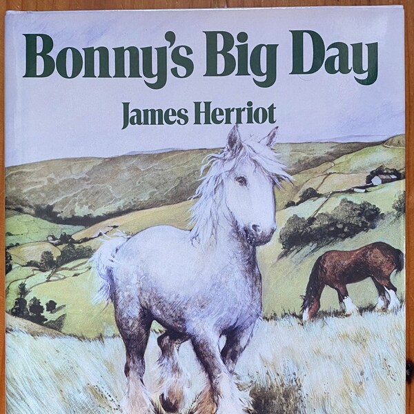 Bonny’s Big Day, James Herriot, illustrated by Ruth Brown, 1987, St. Martin’s Press, dust jacket, vintage children’s horse story