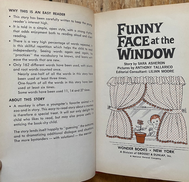 Funny Face at the Window, Sara Asheron, pictures by Anthony Tallarico, Wonder Books Easy Reader, hardcover, 1970, vintage childrens book image 2