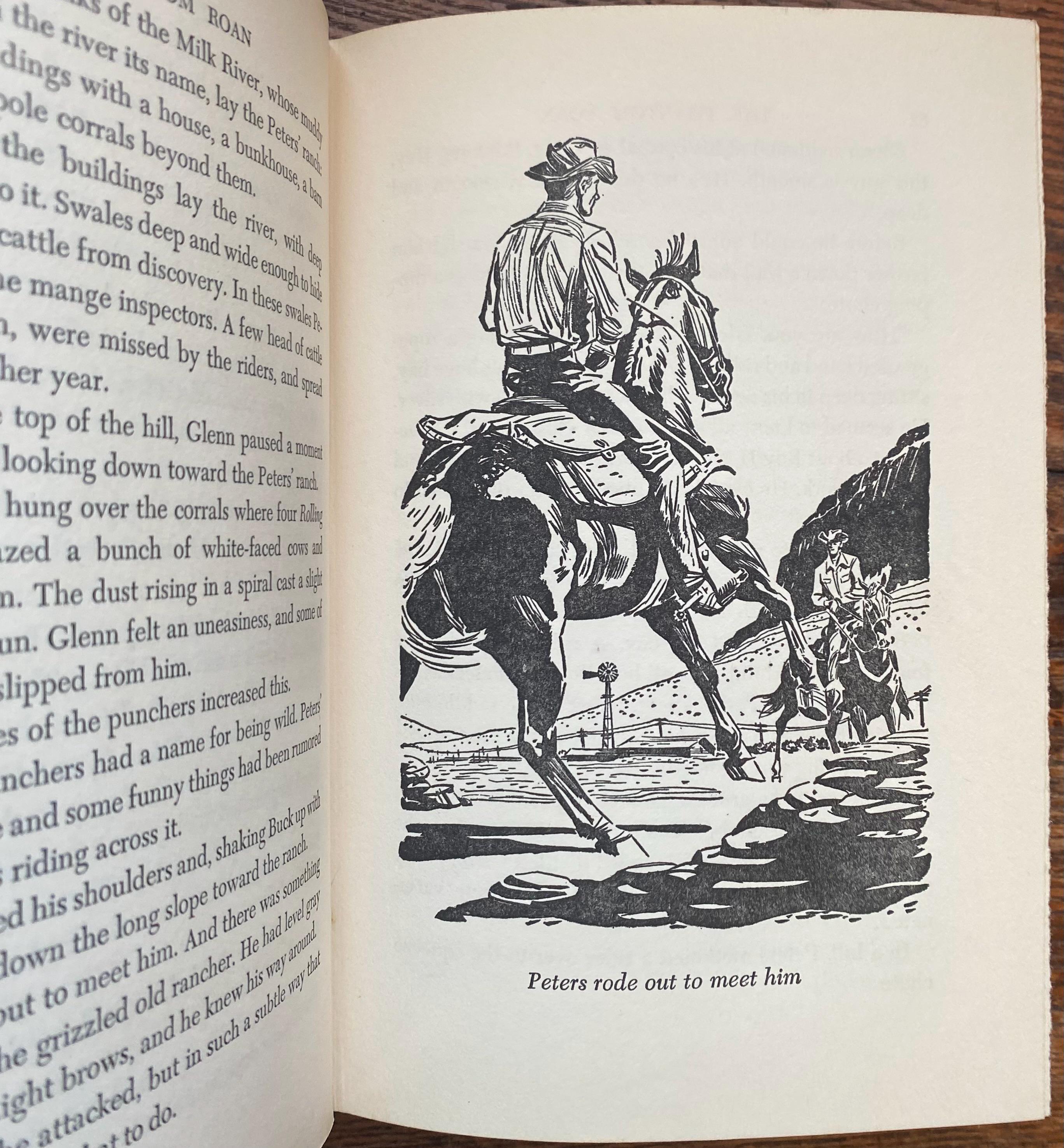 The Phantom Roan: Vintage Children's Horse Book, 1949 - Etsy