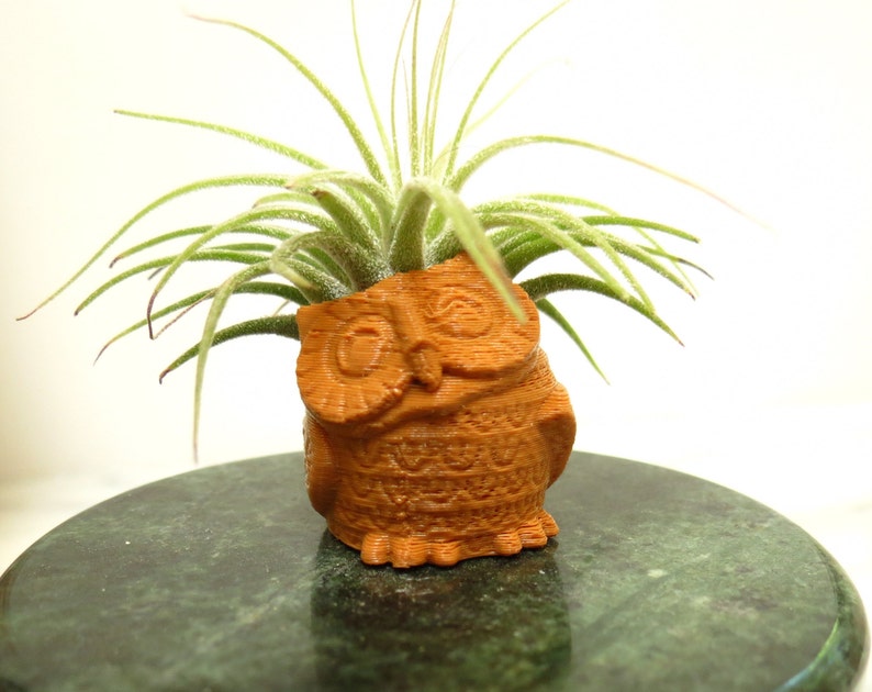 Office Gift Mini Planter 3D Printed Planter Owl Air Planter Desk Accessory Friend Gift, Air Plant 3D Printed Owl