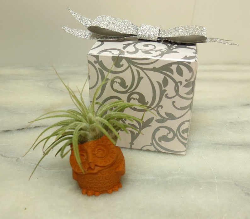 Owl Air Planter Mini Planter 3D Printed Planter Desk Accessory Office Gift Friend Gift, Air Plant 3D Printed Owl