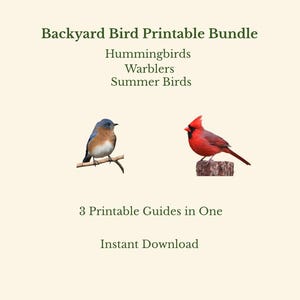 Può includere: Una stampa digitale intitolata "Backyard Bird Printable Bundle" con un'uccello azzurro e un cardinale rosso. Il testo include "Hummingbirds, Warblers, Summer Birds" e "3 Printable Guides in One, Instant Download."