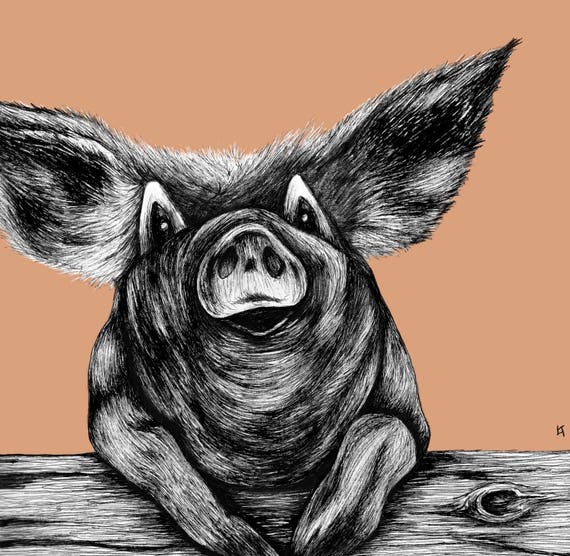 Pig Illustration Pen And Ink Watercolor Artwork Giclee Etsy Pig Illustration Pen And Ink Watercolor Artwork Giclee Etsy