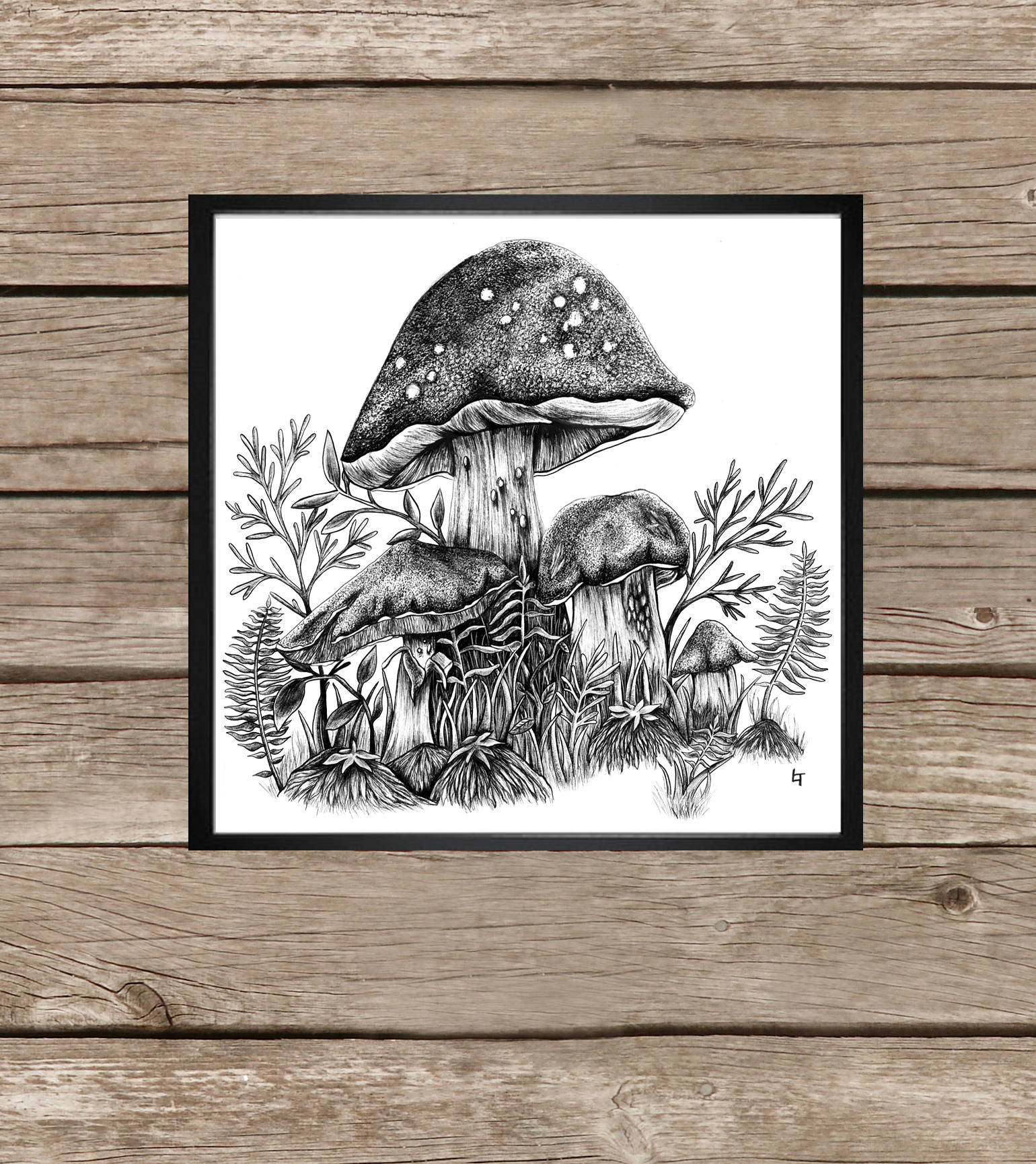Revolutionary Study: Mushrooms And Their Mitochondrial Marvels - jwyl01g