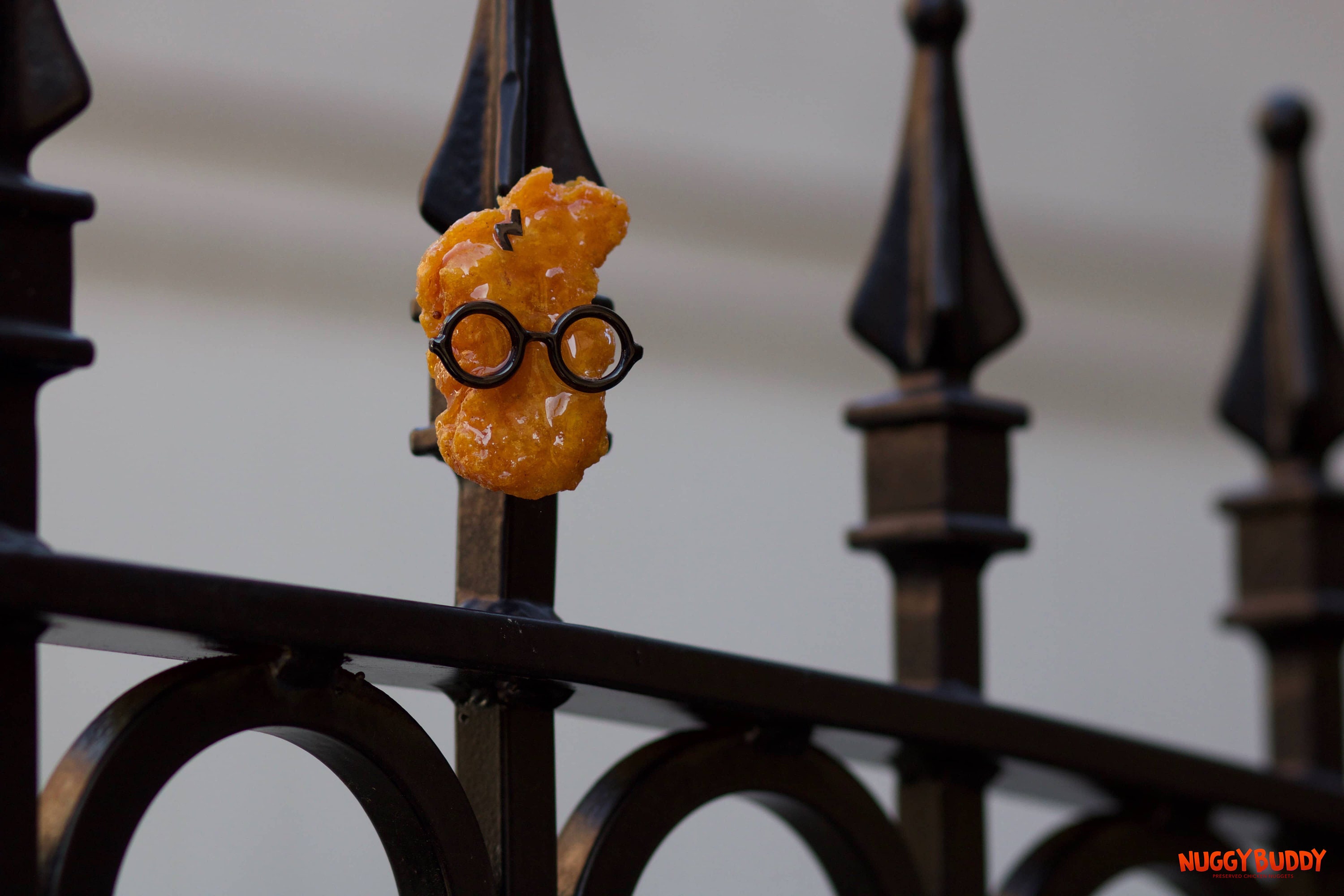 Harry Poter Nuggy Buddy Magnet (real Preserved Chicken Nugget) - Etsy