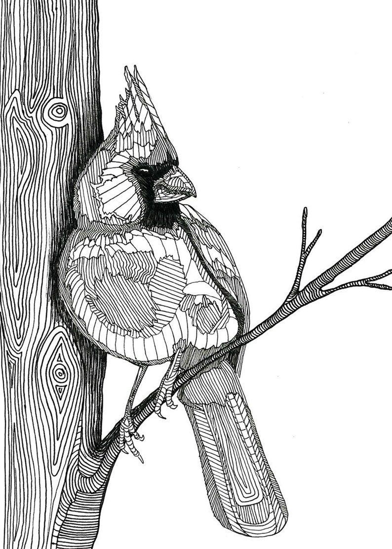 Cardinal Print