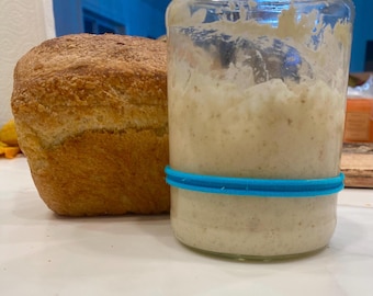 Sourdough starter, sourdough dried starter, sourdough bread, waffles, cookies, homemade sourdough starter, grandma sourdough bread starter