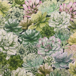 Hobby Lobby Cactus - Etsy