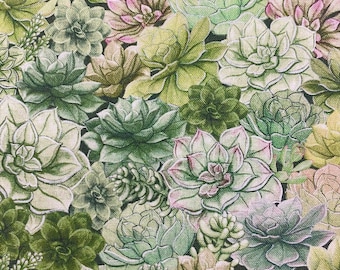 Green cactuses, green succulents Apparel Fabric, quilting cotton, apparel fabric, 100% cotton fabric, succulent green cotton