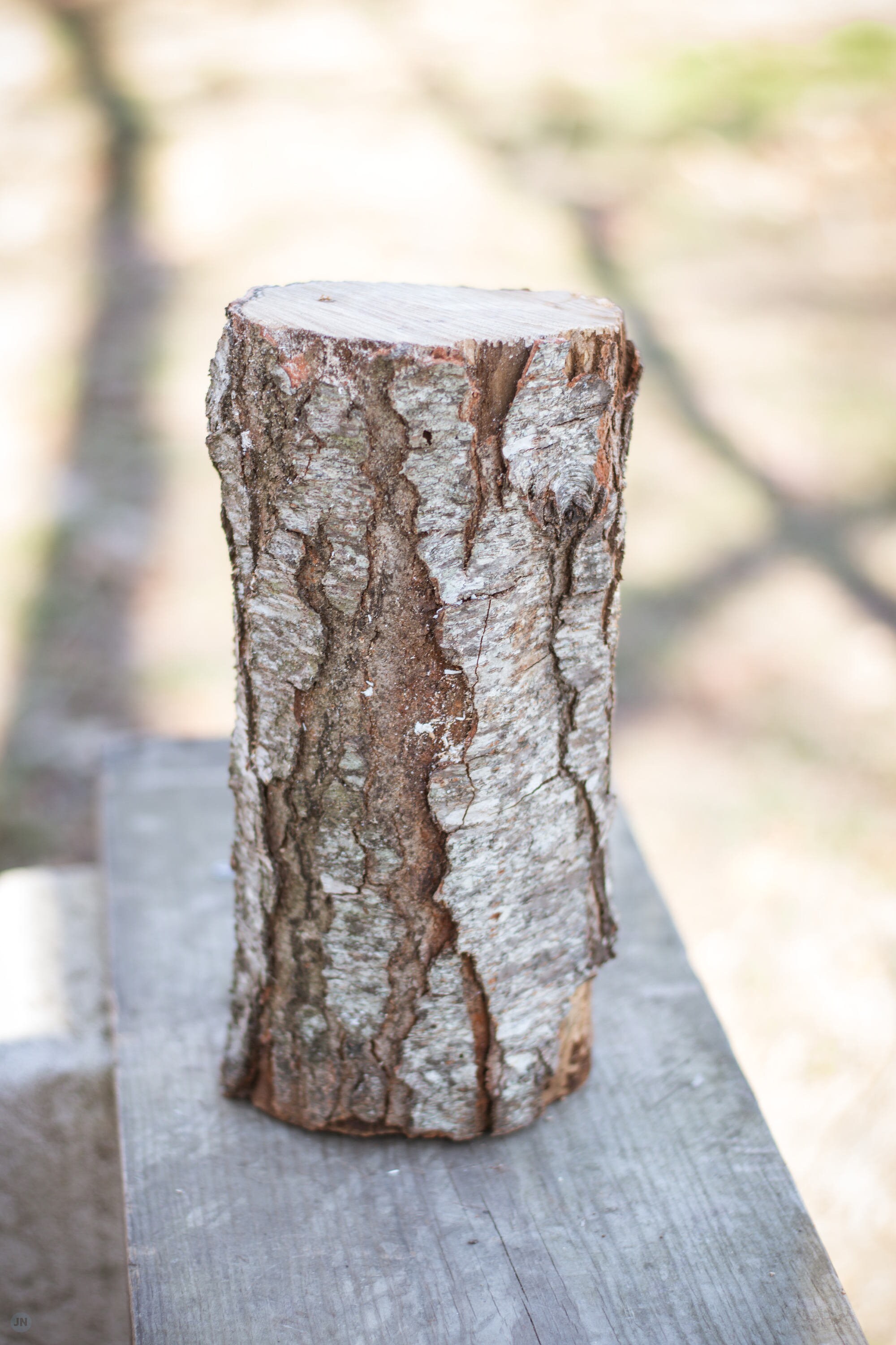 2 Black Cherry Logs Live Edge 1 Ft Etsy