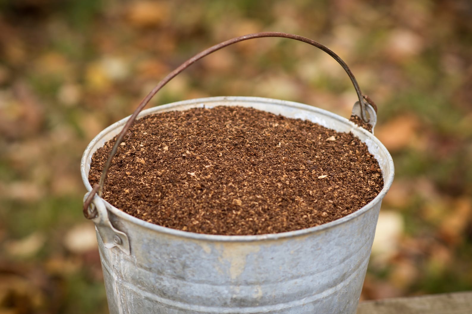 1lb Black Walnut Sawdust Etsy