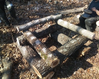 3' Logs for Mushroom Growing  (About a 6" Diameter)(Single Log)