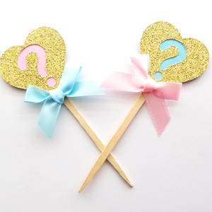 Gender Reveal Cupcake Toppers, Boy or Girl Toppers, What will it be?, Qty 12