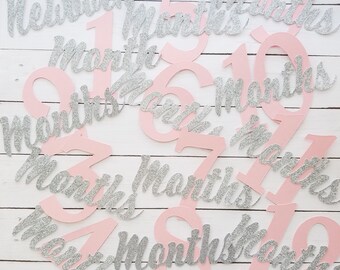 12 Month Photo Banner Cutouts in Pink and Silver, Girl First Birthday Photo Banner, Monthly Photo Banner, Pink and gold Monthly banner